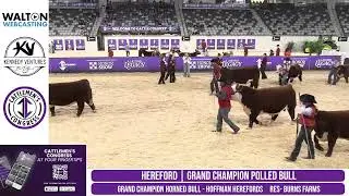 2026 Cattleman's Congress - National Hereford Bull Show