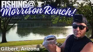 Pulling Fish at Morrison Ranch Lake in Gilbert Arizona! (unexpected!)