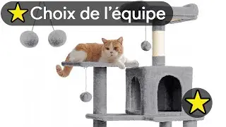 🏆 TOP 3 MEILLEUR ARBRE A CHAT AVEC NICHE 2025 🔥