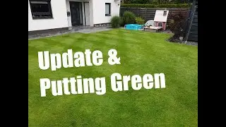 Poa Annua | Fight the Poa project - Nr. 4 |  Woche 5: Update und Putting Green