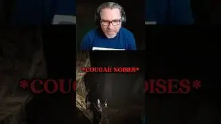 Roger Clark vs Cougar in RDR2