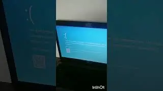 головоломка has BZOD