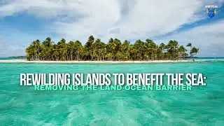 Rewilding Islands to Benefit the Sea: Removing the Land-Ocean Barrier with Coral Wolf [Repost]