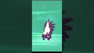 Stunky Evolution