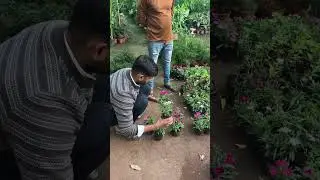 Moto Scam thai gyo 🥲🥲 Su karu ???🥹😭 Part-2