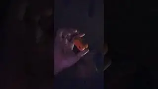 x bar strawberry banana 5000 puff disposable vape 3th one update