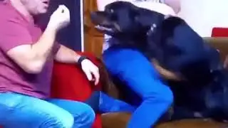 'Ahh, you knobhead Dave!'