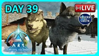 Direwolf Breeding for caves on ARK Ascended Day 39 with GeForceNow - ARK: Survival Ascended
