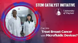 Can We Understand Breast Cancer with Microfluidic Devices?