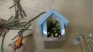 Introduction to Mason Bees