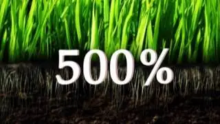 SSB Soil Conditioner and Root Stimulant