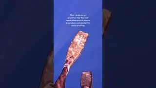 Sperm Whale Clicks Underwater