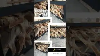 reclaimed teak root tables saturday kitchen
