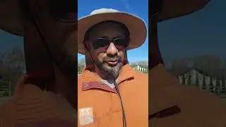 നല്ല പണിയാണ് Guys | Home Garden | Mallu farmer | Gardner | New Zealand Mallu | Home