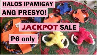 VERY CHEAP CUTE DOG TOYS FOR YOUR FUR BABIES | TOYS FOR THE  DOGS | DOG'S LOVE | DOG CARE