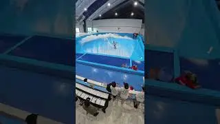 Профессиональные соревнования по флоубордингу в бассейне для флоубординга Scotts Pointe Pacific S...