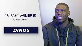 Punchlife de Dinos