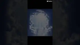 I would never be seen again 😂😂😂 #funny #relatable