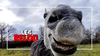 PAS UN POUR RATTRAPER L'AUTRE !