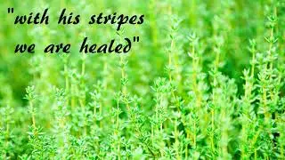 100x Healing Affirmation - 