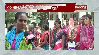 Women complain about illegal tree cutting in Hatimunda | Kalinga TV