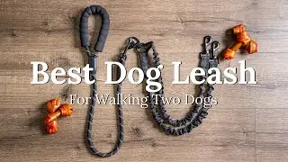 Лучший поводок для прогулок с двумя собаками | Обзор поводка iYoShop Dual Dog Leash