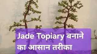Jade Topiary design making process 
