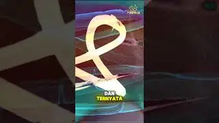 Inilah Yang Ditemukan Saintis di Palung Terdalam di Dunia‼️ #faktamenarik #palungmariana