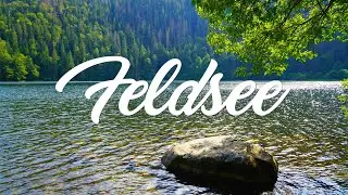 Der Feldsee im Schwarzwald