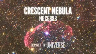Astrophoto | The Crescent Nebula  - #01