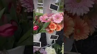 best buds floral bar in #rochesterny - build your own bouquet 🌸🤍