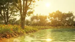 Tranquil Forest Pool | Sunlit Ripples and Soothing Nature Sounds for Relaxation