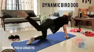 Dynamic Bird Dog - Home Workout - Beginner Level - Dynamic Exercise