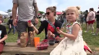 Strawberry Fest 2023