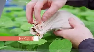 AgriSurge Innovation Challenge (AIC)