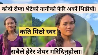 कोदो रोप्दै गर्दा भेटेको नानीको स्वरले सबैको मन जितेको छ । सबैले हेरेर सपोर्ट गरिदिनु होला । 