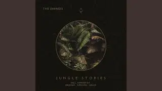 Jungle Stories (DIBIDABO Remix)