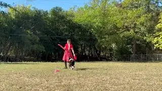 Vanessa Fanelli and Stella triple crown 2025 performance round