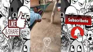 El mono ocioso(Humor Mexicano, caidas y fregadasos)