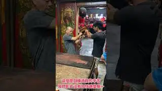 奉普唵真人指示～訓練新轎手/感謝眾神聖蒞臨/協助訓練/重駕/影片速度是正常速度，沒有加快
