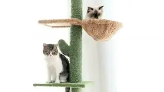 Cat Tree 5-Tier Floor to Ceiling Cat Tower Cactus Tall Climbing Tree with