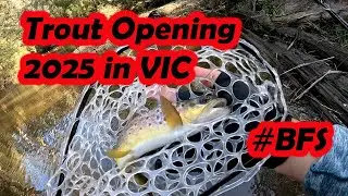 Slow start to the Trout Season Opening 2025 | BFS fishing