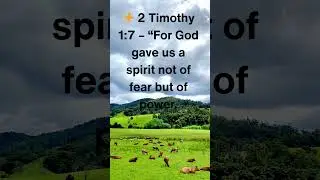 🕊️Bible verses to help you walk in faith, not fear #biblequotes #bible