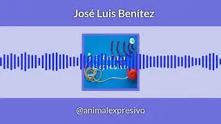El papel del periodismo ante una sociedad en crisis.