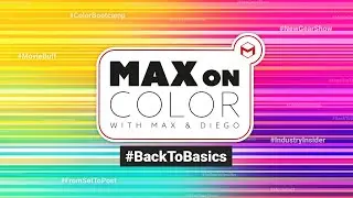 Max on Color | Magic Bullet Looks 101: увлекательное и простое руководство
