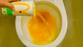 Will it Flush? Fanta Orange Soda