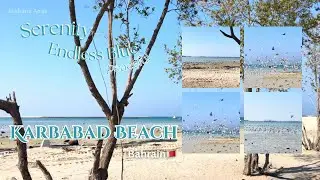 This Place is Magical 🕊️🌊| Lost Between Sea, Sky & Wings | Karbabad Beach, Bahrain | Beautiful Beach