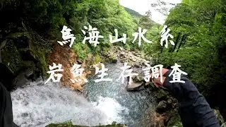 「源流釣り」鳥海山水系岩魚生存調査(前編)(８月源流)