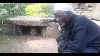 🤔 MAAJABU YA WACHAGA NA SIRI ILIYO NYUMA YA MASALE.