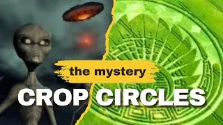 Crop Circles: The Most Mysterious Signs Ever Found &ndash; Hoax or Alien Messages?